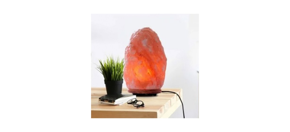 Dakota Field Brasfield 20 Pound Salt Lamp