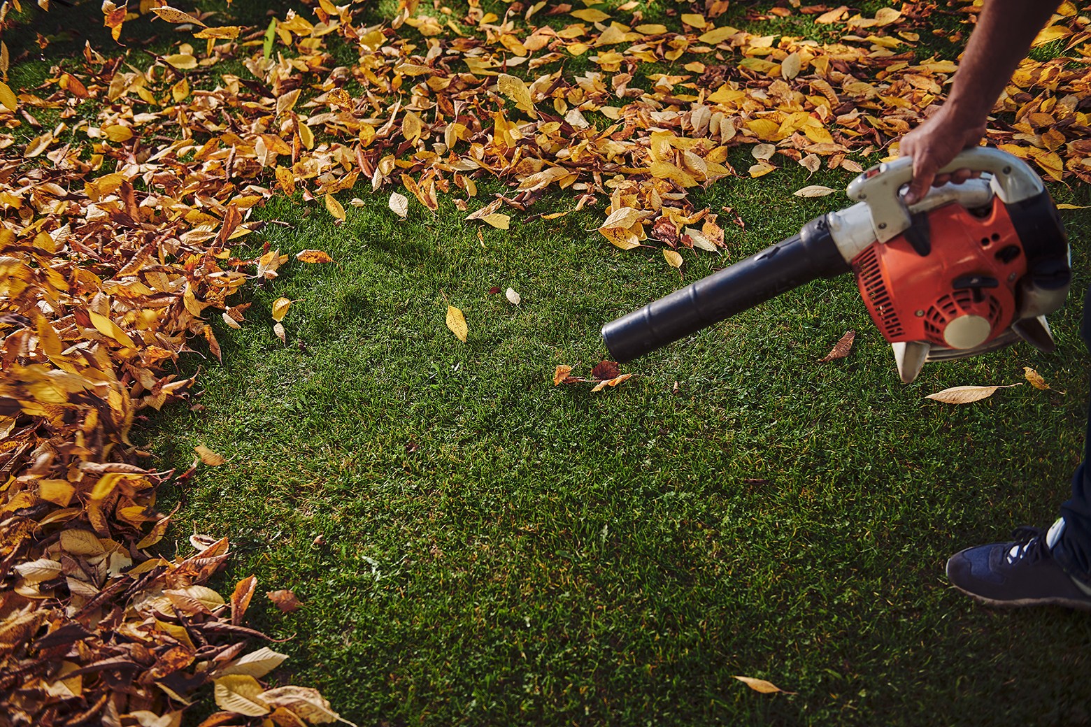 5 Best Electric Leaf Blowers Aug. 2021 BestReviews