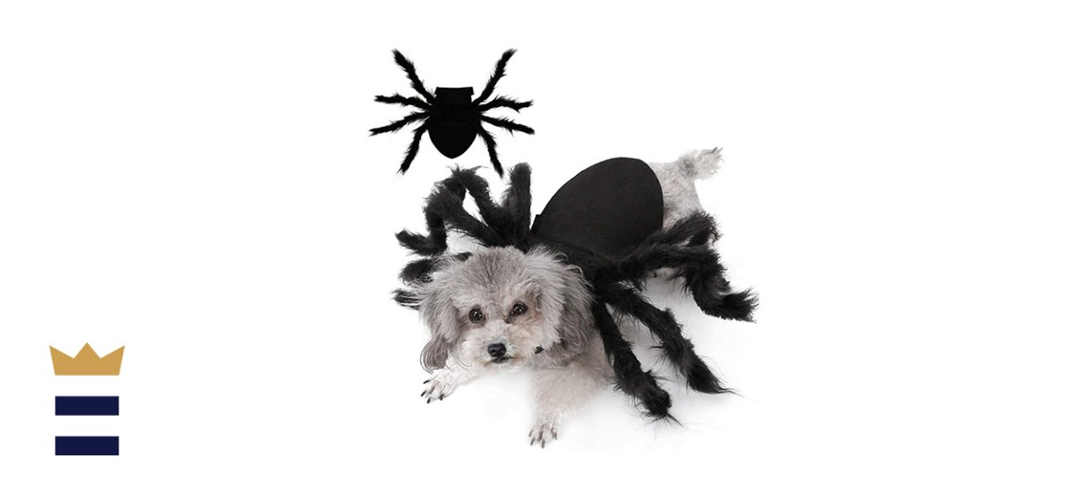 Giant Furry Spider/Dog Alien Hybrid