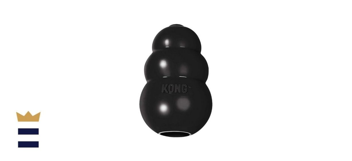 KONG Extreme Dog Toy