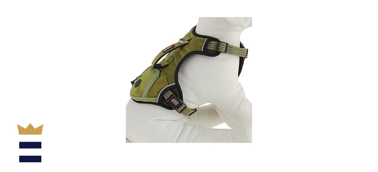 Kong reflective outlet pocket harness