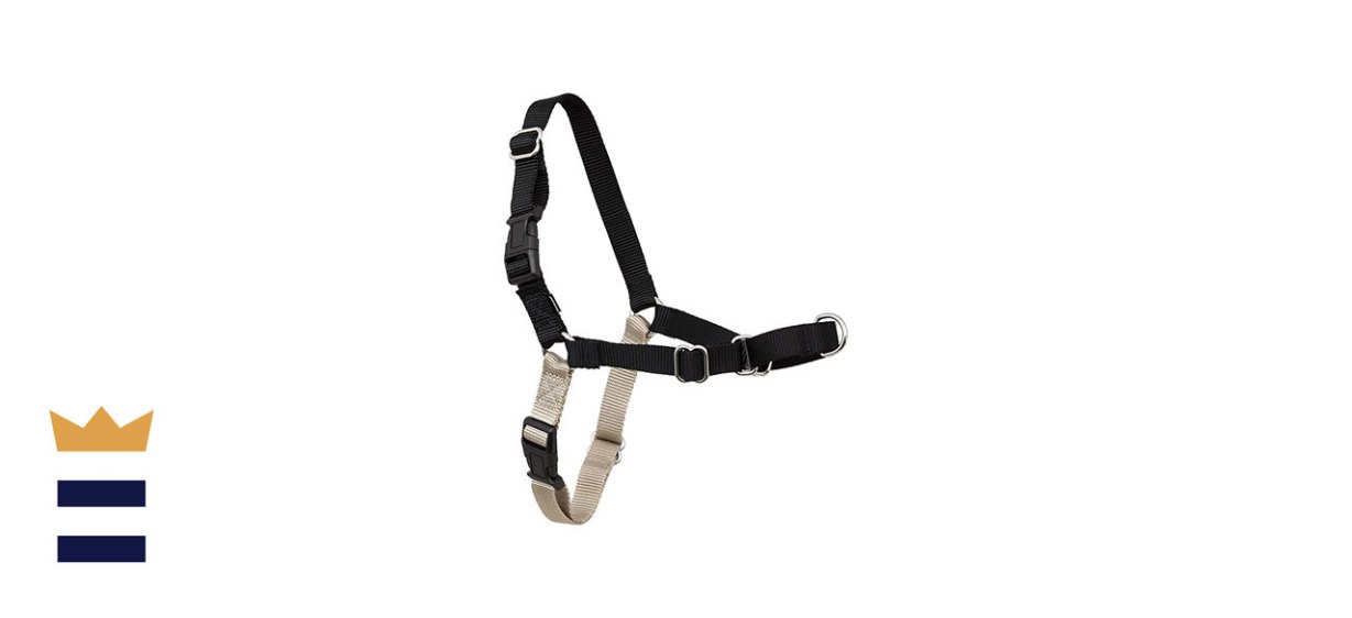 Petsafe Easy Walk Dog Harness