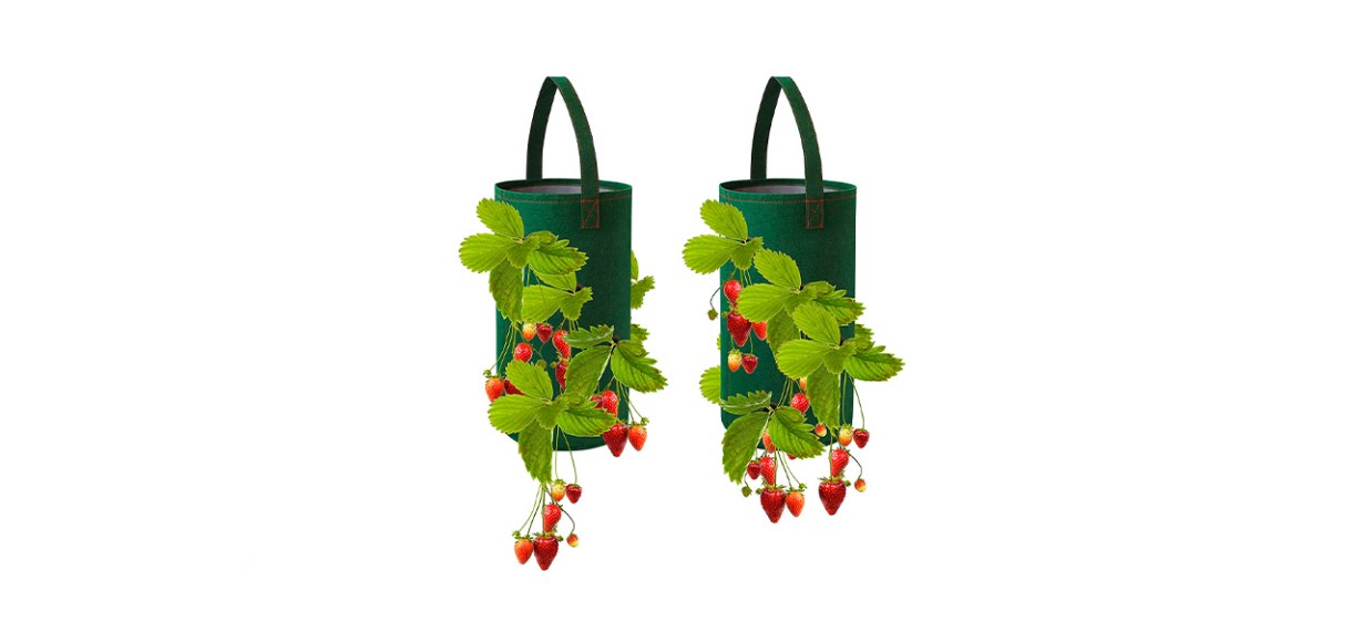 Pri Gardens Hanging Strawberry Planter