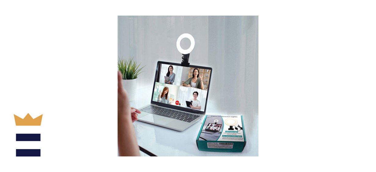selfila Video Conference Lighting Kit