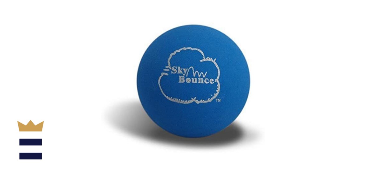 Sky Bounce Handballs