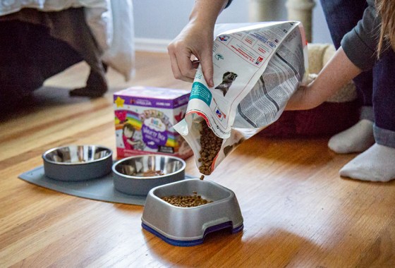 The 9 best Blue Buffalo cat foods