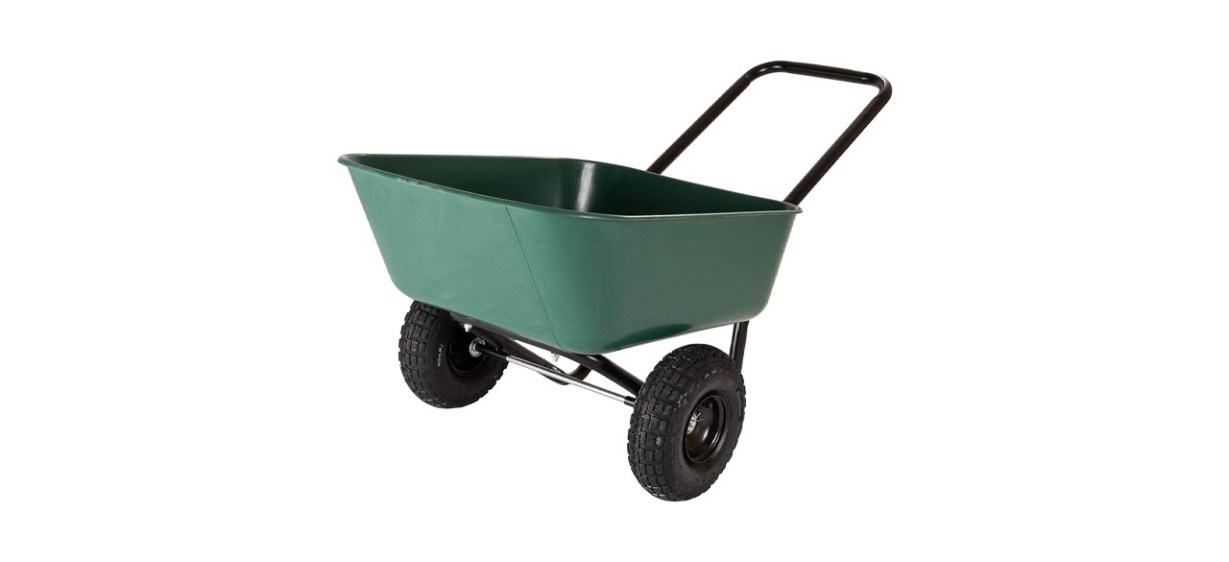 what-to-plant-in-september-best-vegetables-and-flowers-to-grow