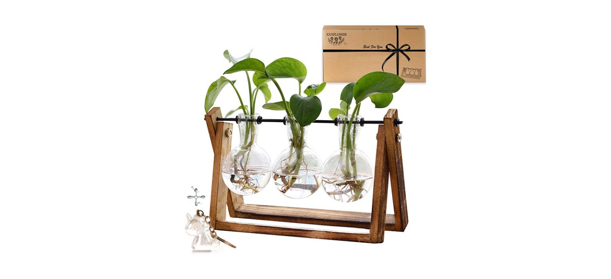 XXXFlower Plant Terrarium with Wooden Stand