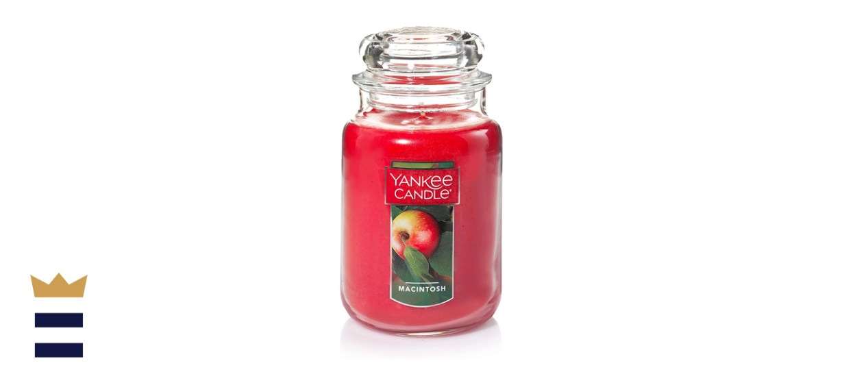 Yankee Candle Macintosh Large Jar Candle