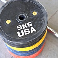 olympic bumper plate2
