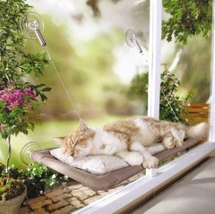 PETPAWJOY Cat Window Perch