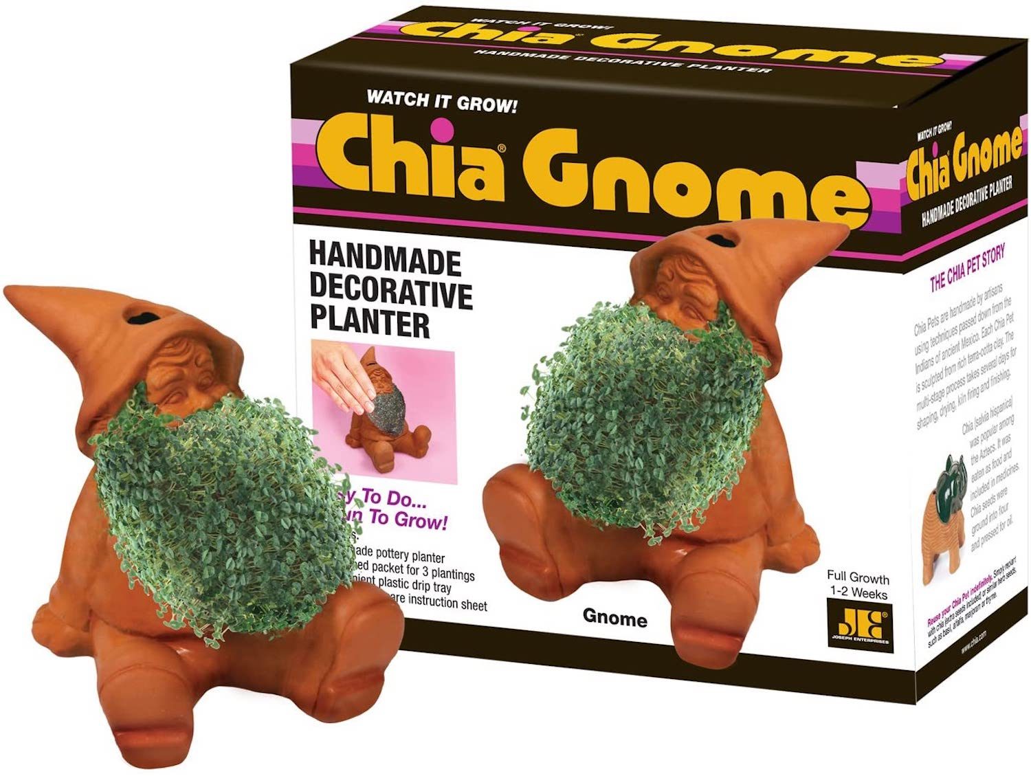 Chia Pet Gnome Decorative Pottery Planter