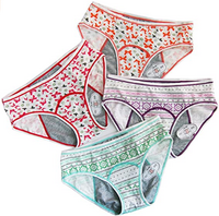 Anna & Eric Leakproof Menstrual Underwear