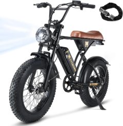 CYCROWN Electric Bike
