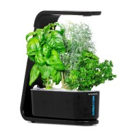 AeroGarden Sprout Gourmet Seed Pod Kit