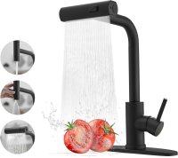 JOOM Black Kitchen Faucet with Pull Down Sprayer
