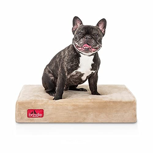 Brindle Memory Foam Orthopedic Dog Bed