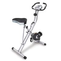 Exerpeutic Folding Magnetic Upright