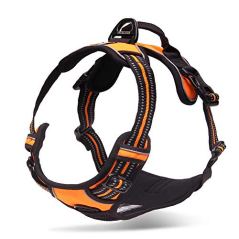 Chai's Choice 3M Reflective Dog Harness