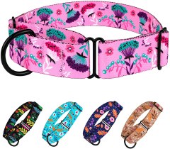 CollarDirect Martingale Dog Collar