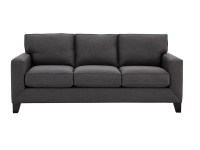CORT Furniture Outlet Decker Queen Sleeper Sofa 