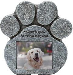 EXPAWLORER Paw Memorial Photo Frame