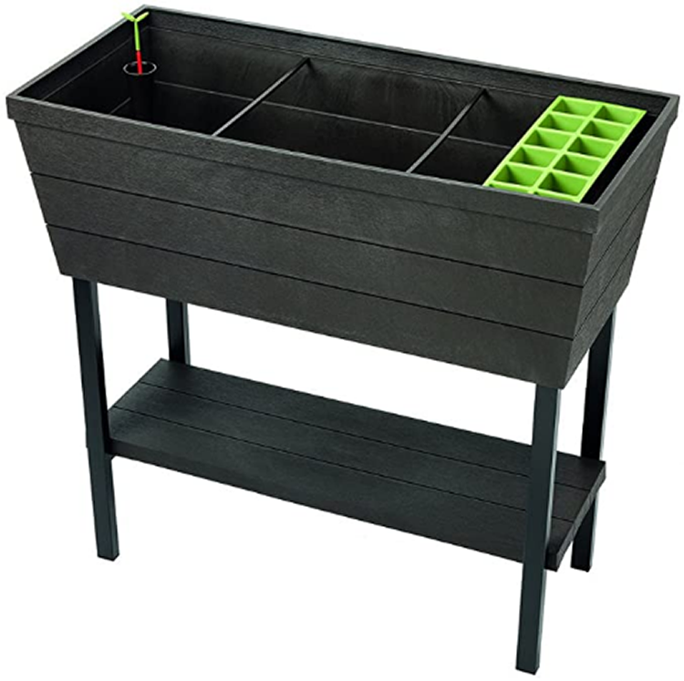 Keter Urban Bloomer XL Raised Garden Bed