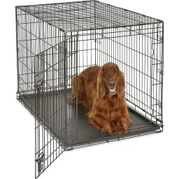 New World Pet Products