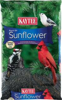 Kaytee Black Oil Sunflower