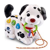 V-Tech Pull and Sing Puppy