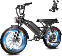 Yoloway YR20 Electric Off-Road Bike